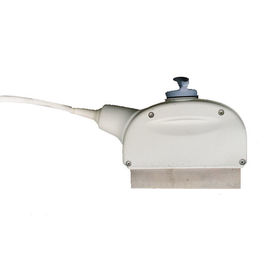 GE E8C الموجات فوق الصوتية OB/GYN Urology Clinical Transducer Probe لنظم الموجات فوق الصوتية Logiq Vivid