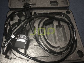 فجينون ED-250XL8 فيديو دوودينوسكوب